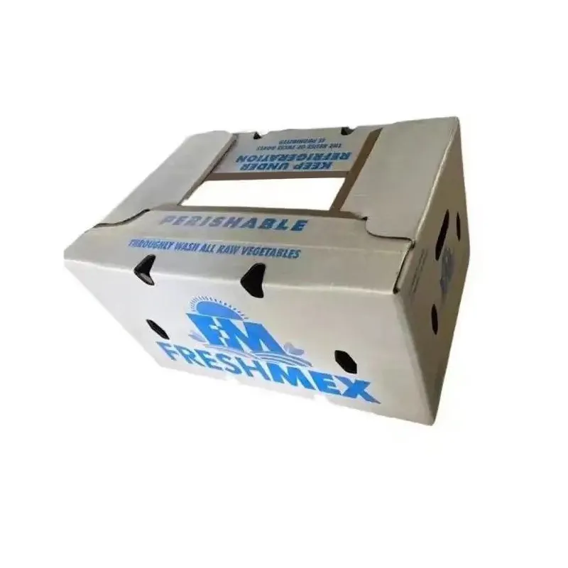 Cur Elige Biodegradable Cera Paper Box pro Sustainable Packaging Solutions?