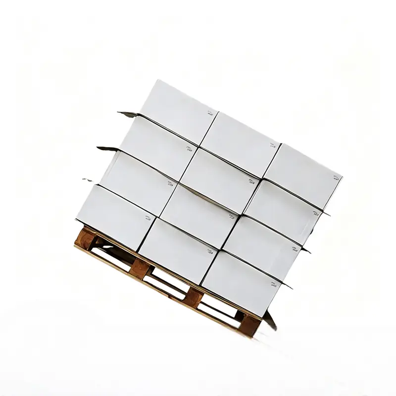 Ordinarium Anti-lapsum Paper