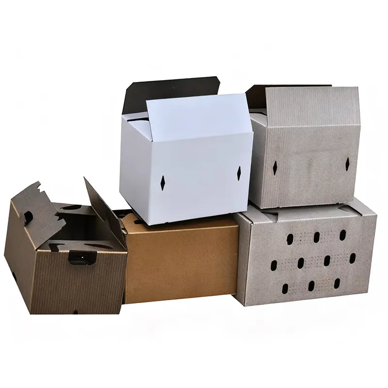 Cera Coated Vegetabili Cartons